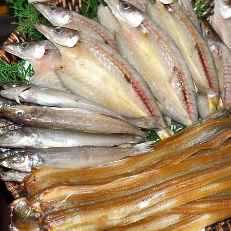 旅館 Osakana Seaside Minamichita Eksteriør billede